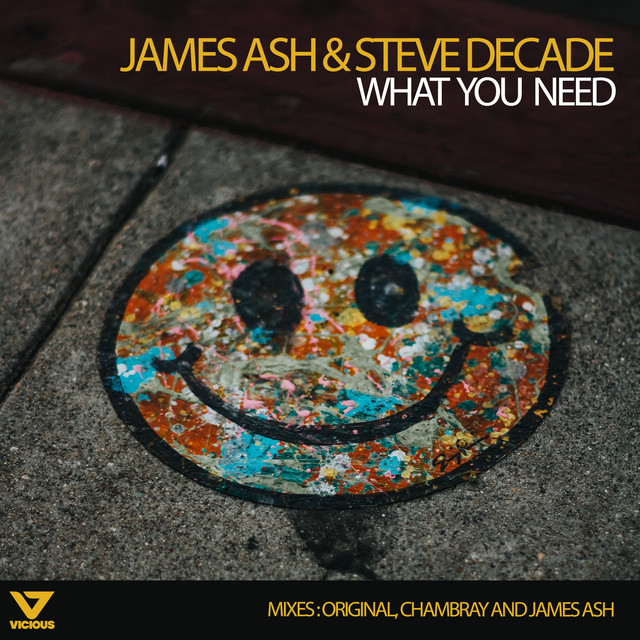 What You Need cover art