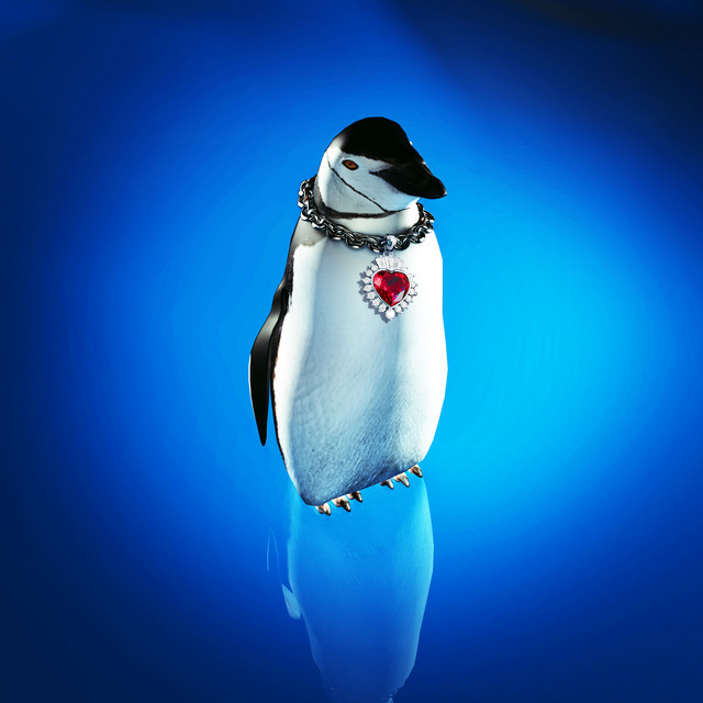 Pingüino cover art