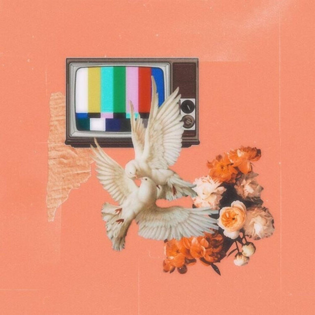 New Lies cover art