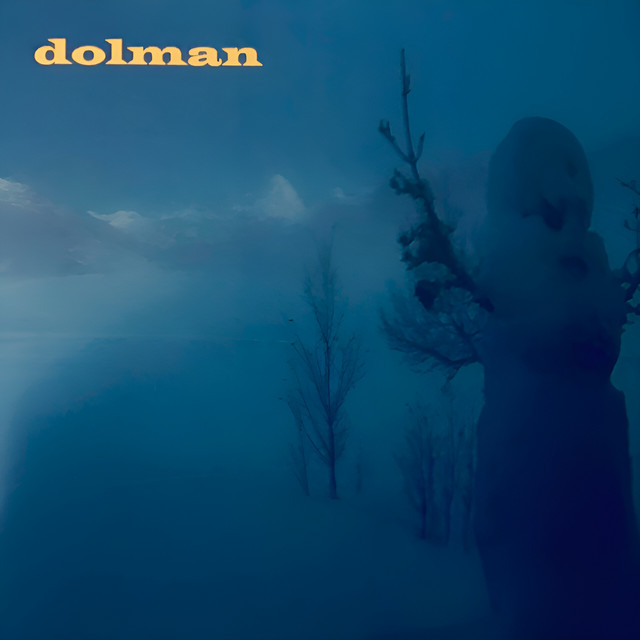 Dolman cover art