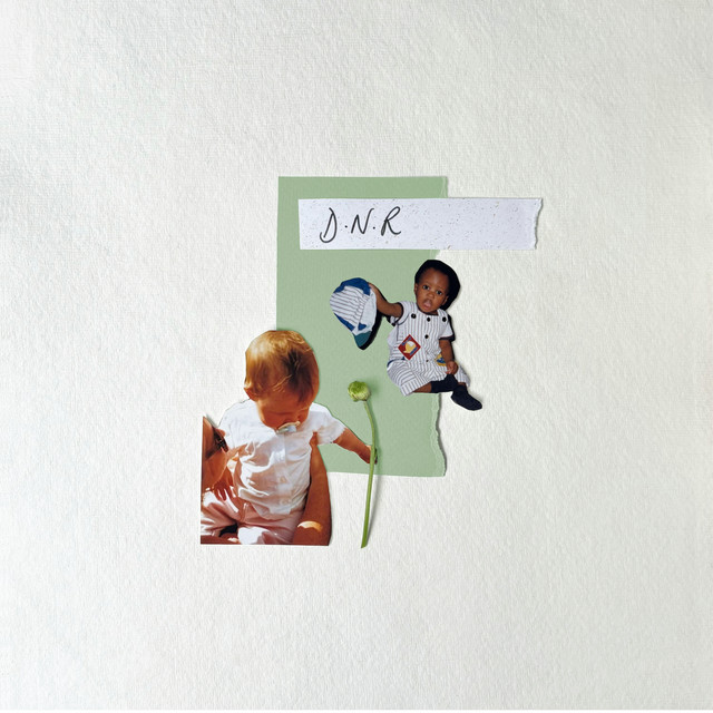 D.N.R artwork