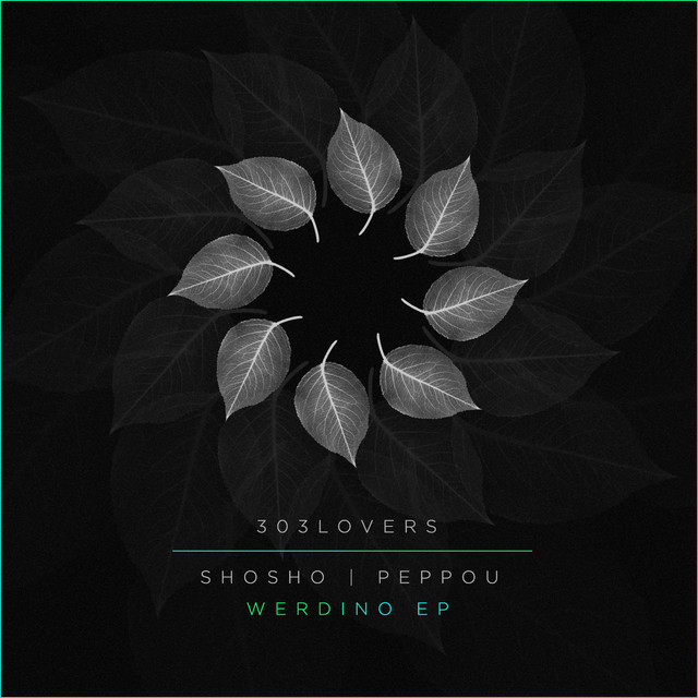 Excitement album art