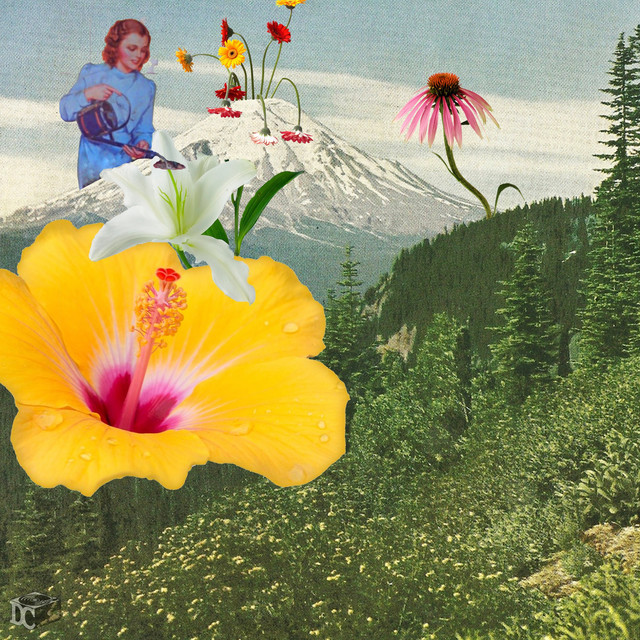 figures in the garden cover art