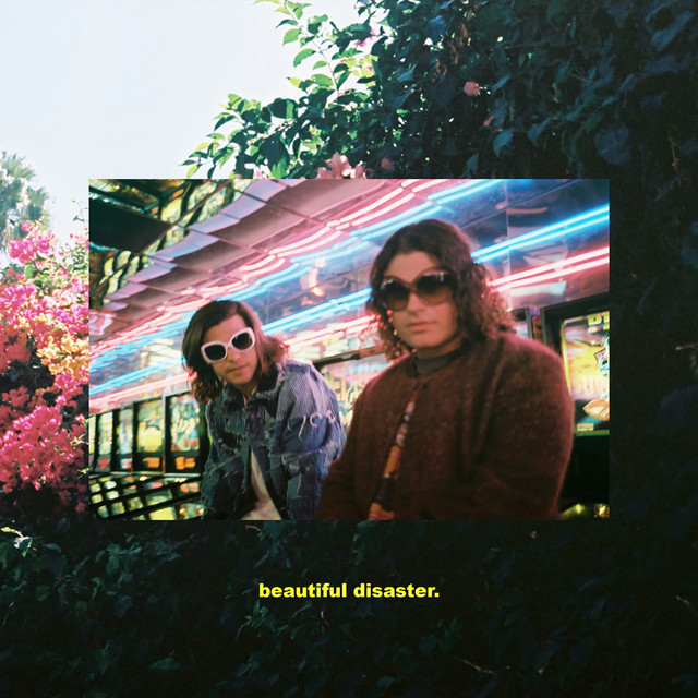 Beautiful Disaster cover art