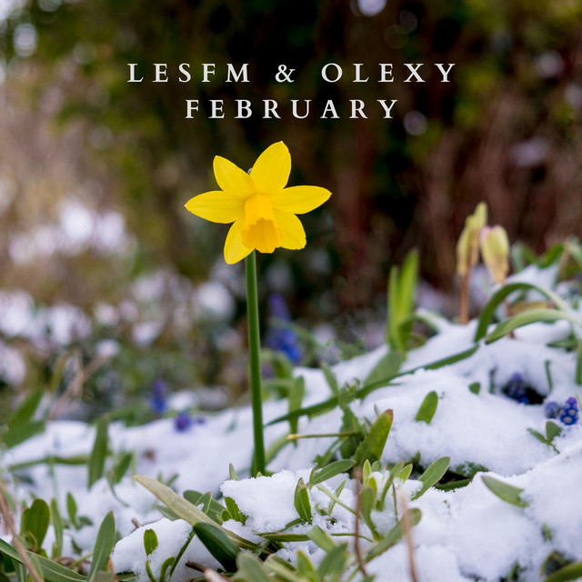 Обкладинка: February — Lesfm