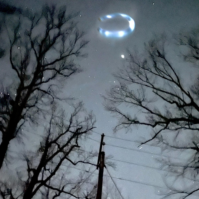 horseshoe cover art