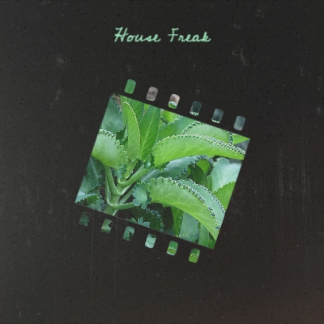 House Freak - Compilation by Various Artists | Spotify