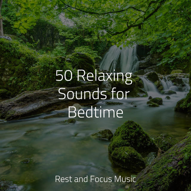 50 Relaxing Sounds for Bedtime - Album by Relaxing Spa Music | Spotify