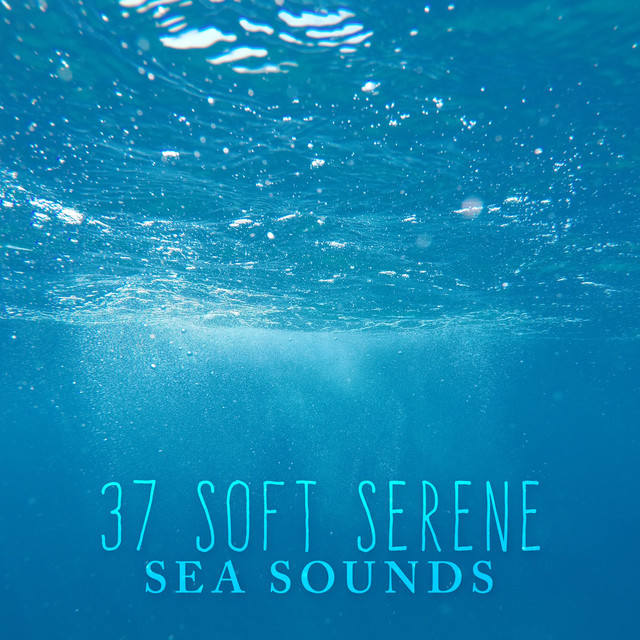 37 Soft Serene Sea Sounds cover art