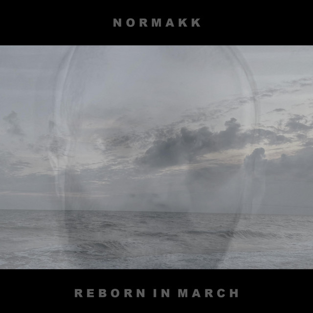 Reborn in March cover