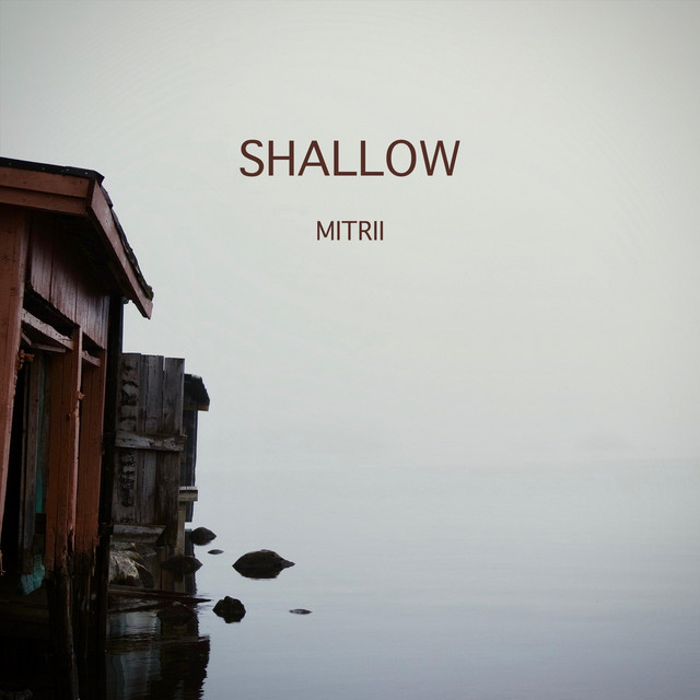 Shallow cover art
