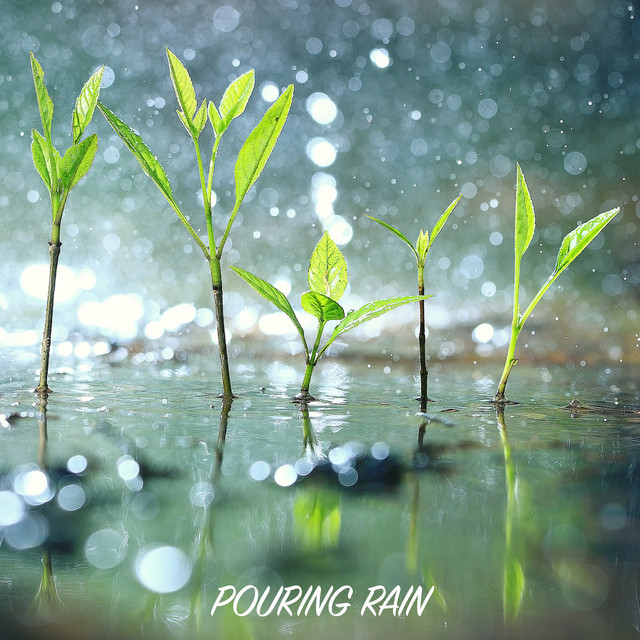 Pouring Rain cover art
