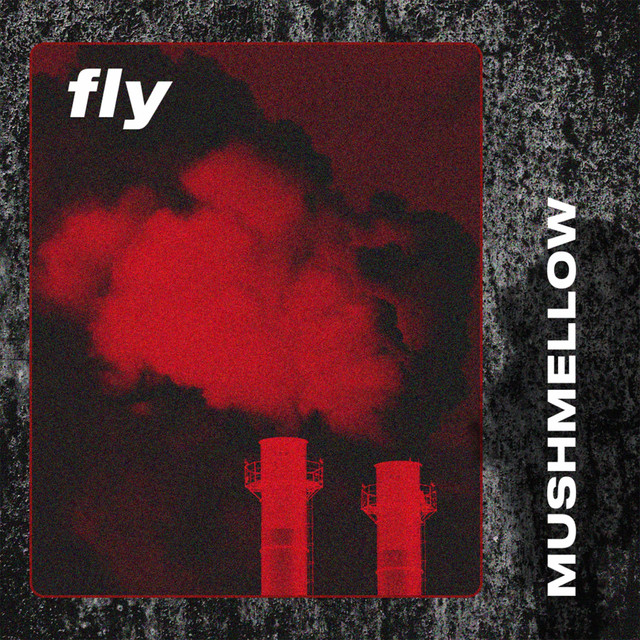 Fly cover art