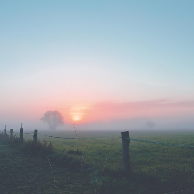 Daybreak