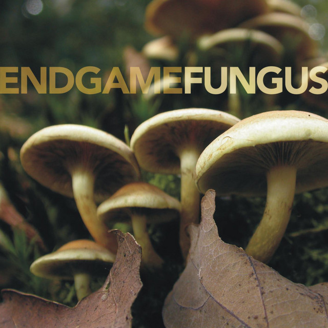 Fungus cover art
