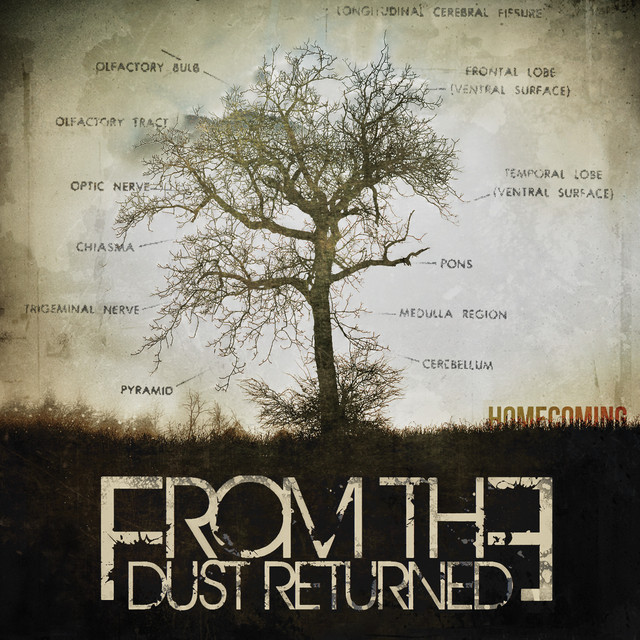 From the Dust Returned