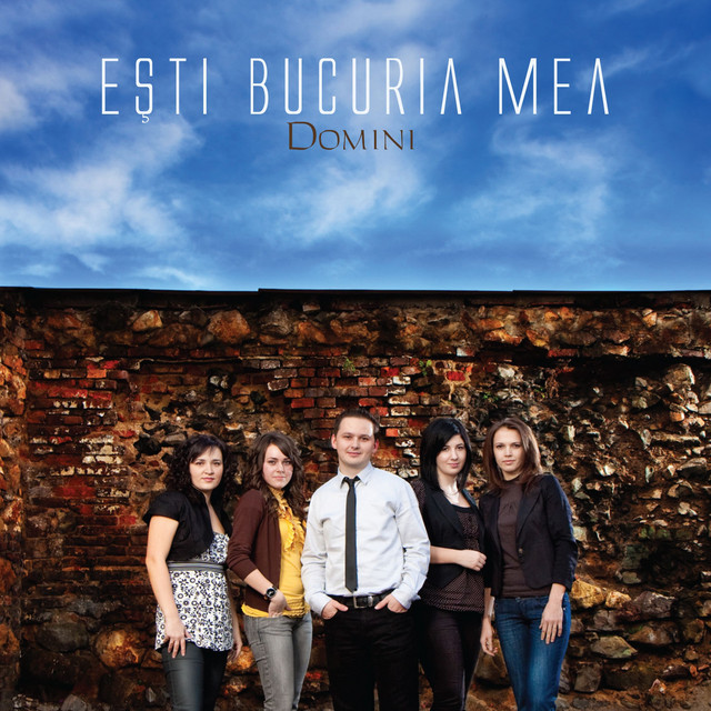 Voi Inalta cover art