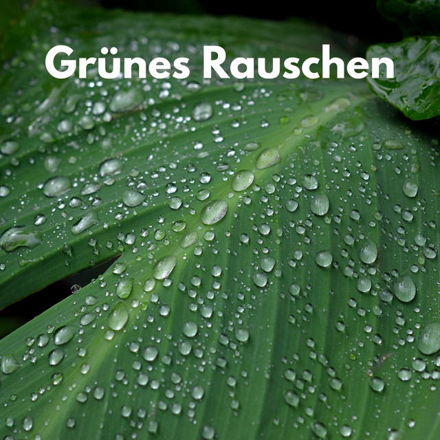 Grünes Rauschen cover art