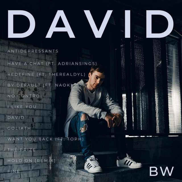 David cover art