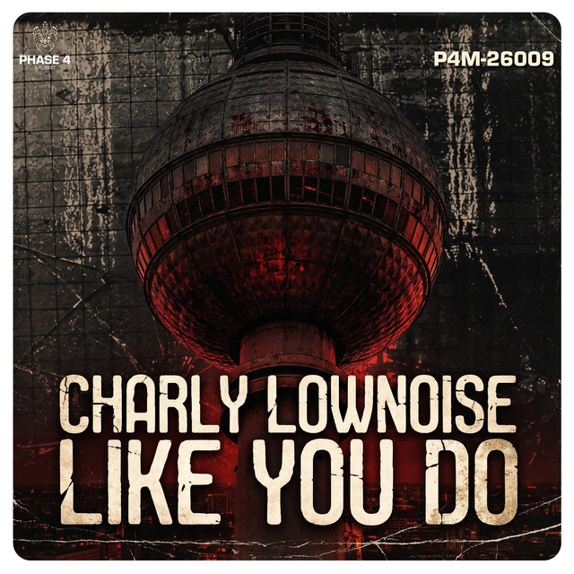 Like You Do (Radio Edit) cover art