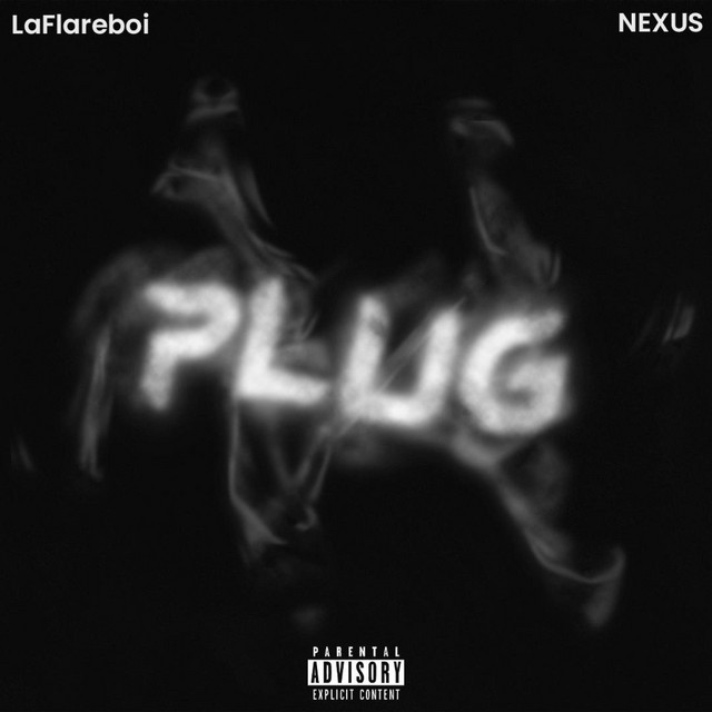 Plug - Single by LaFlareboi | Spotify