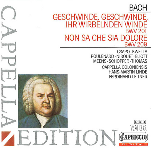 Geschwinde, ihr wirbelnden Winde, BWV 201: Aria. Zu Tanze, zu Sprunge (Bass)