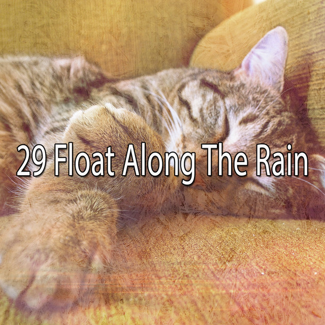 29 Float Along The Rain ‑「Álbum」by Meditation Rain Sounds | Spotify