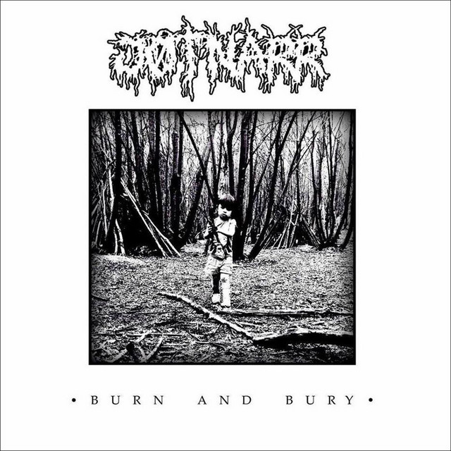 Burn And Bury album image