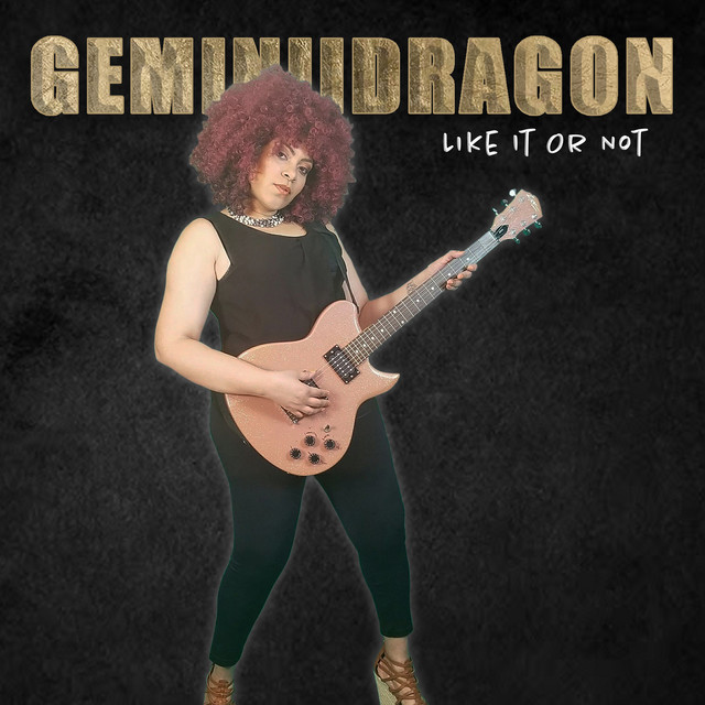 Geminiidragon Like It or Not cover