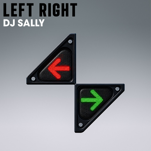 Обкладинка: Left Right — DJ SALLY