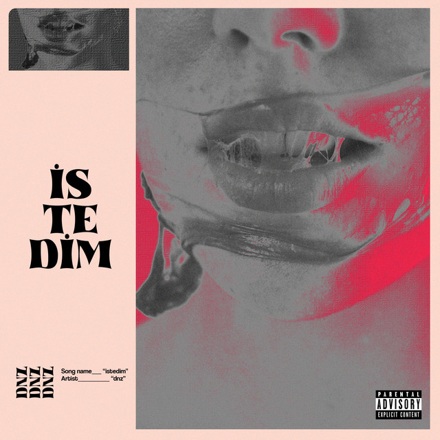 İstedim - Single by DNZ | Spotify