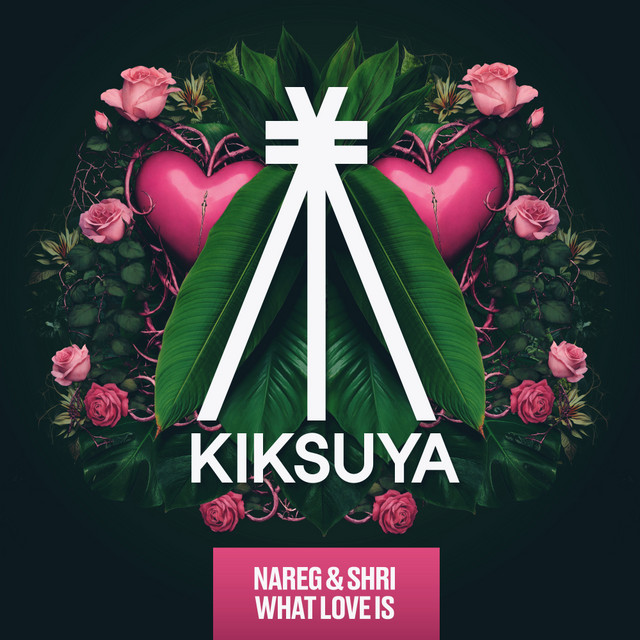 What Love Is - Extended Mix album art