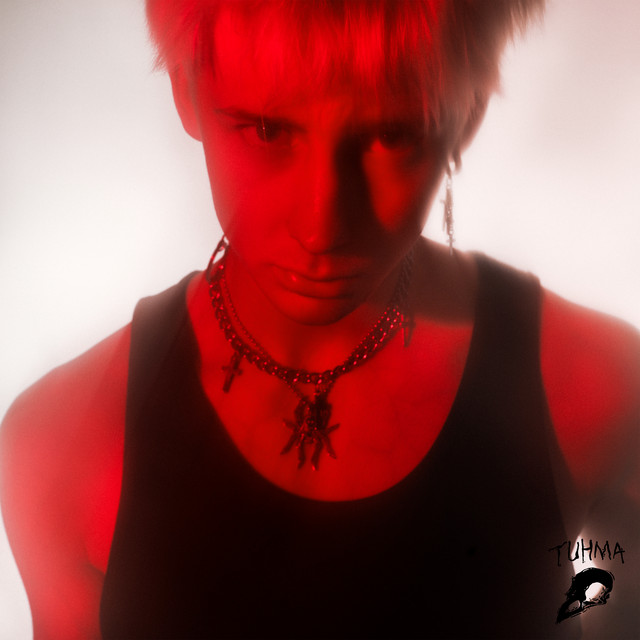 annoin mun sydämen (sped up) cover art