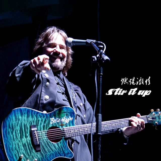 Stir It Up album image