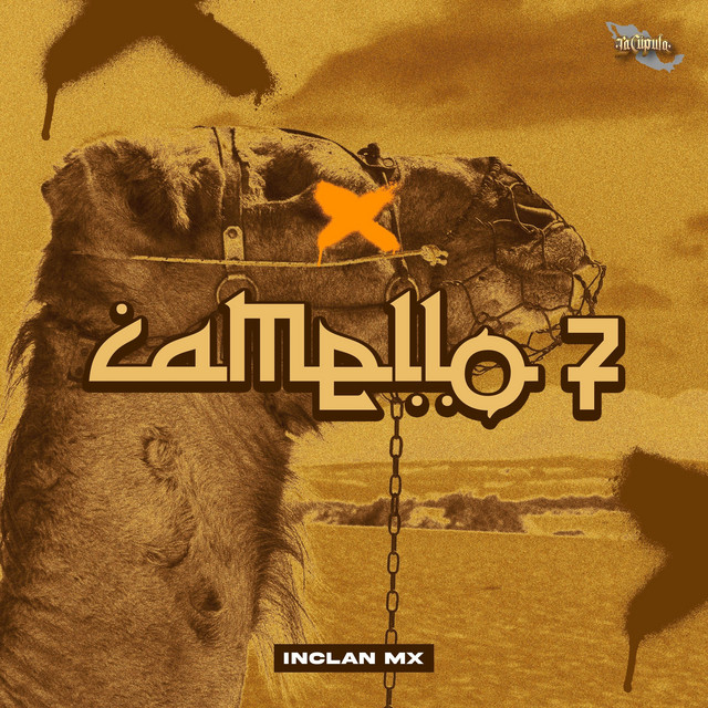 Camello 7 cover art
