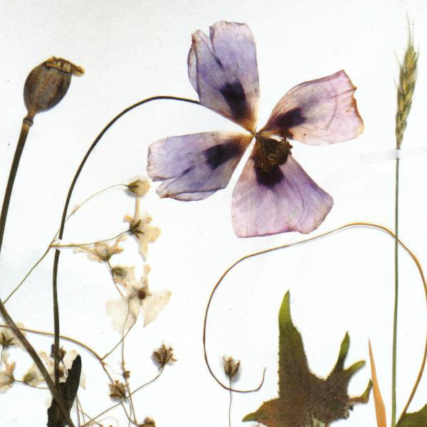 Immigrant Garden cover