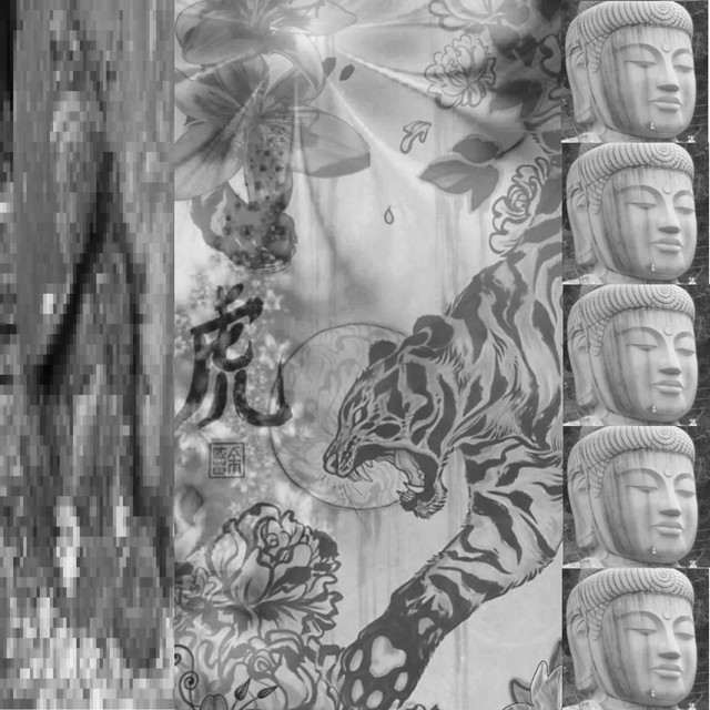 24 cover art