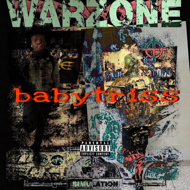 Warzone cover art