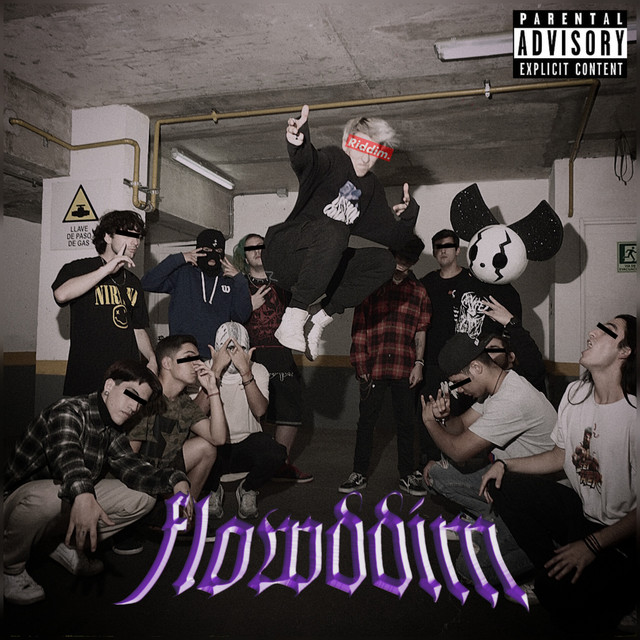 FLOWDDIM cover art