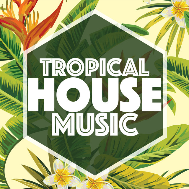 Tropical House Music - Album by Tropical House Music | Spotify