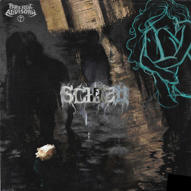 Schizo cover