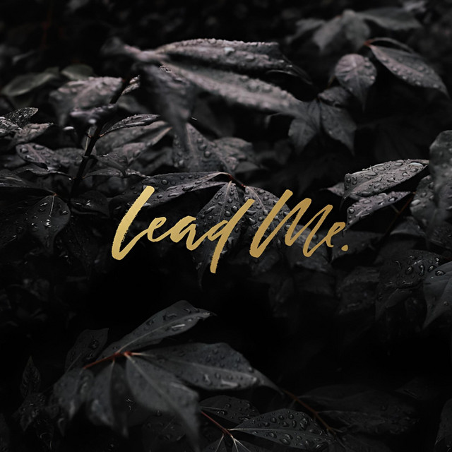 ivancaki95 – LEAD ME