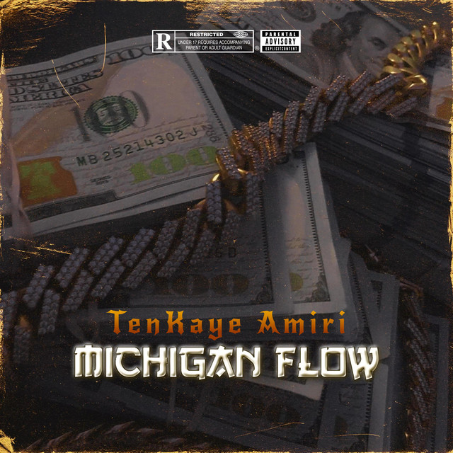 TenKaye Amiri (Michigan Flow) cover