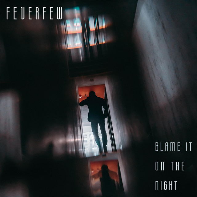 Blame It On The Night cover