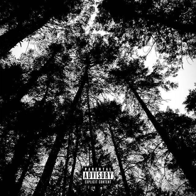 WALKING SILHOUETTE (DELUXE) cover art
