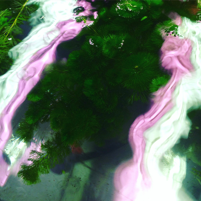 Motion cover art