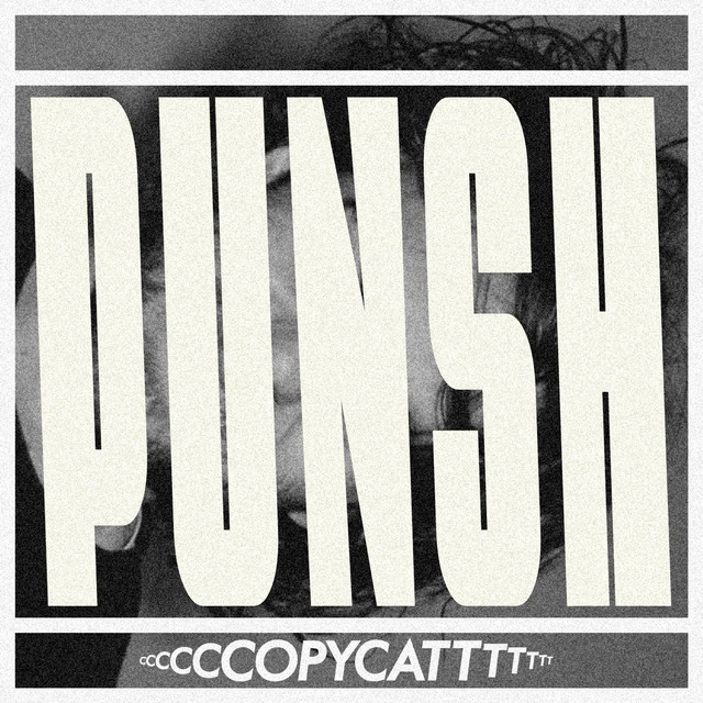 PUNSH cover