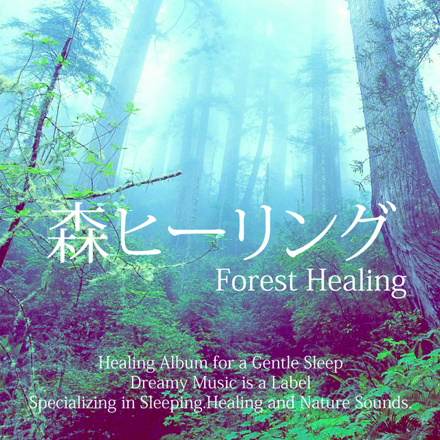 神秘的な森の癒し Song By Dreamy Music Spotify
