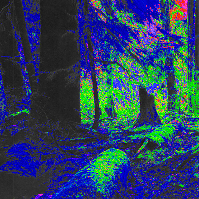 The Green of Nature Left at Winter cover