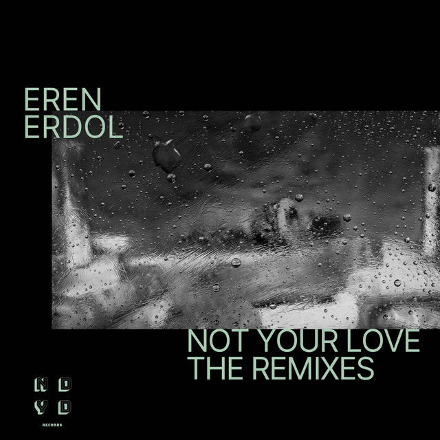Not Your Love - Julio Cruz Remix album art